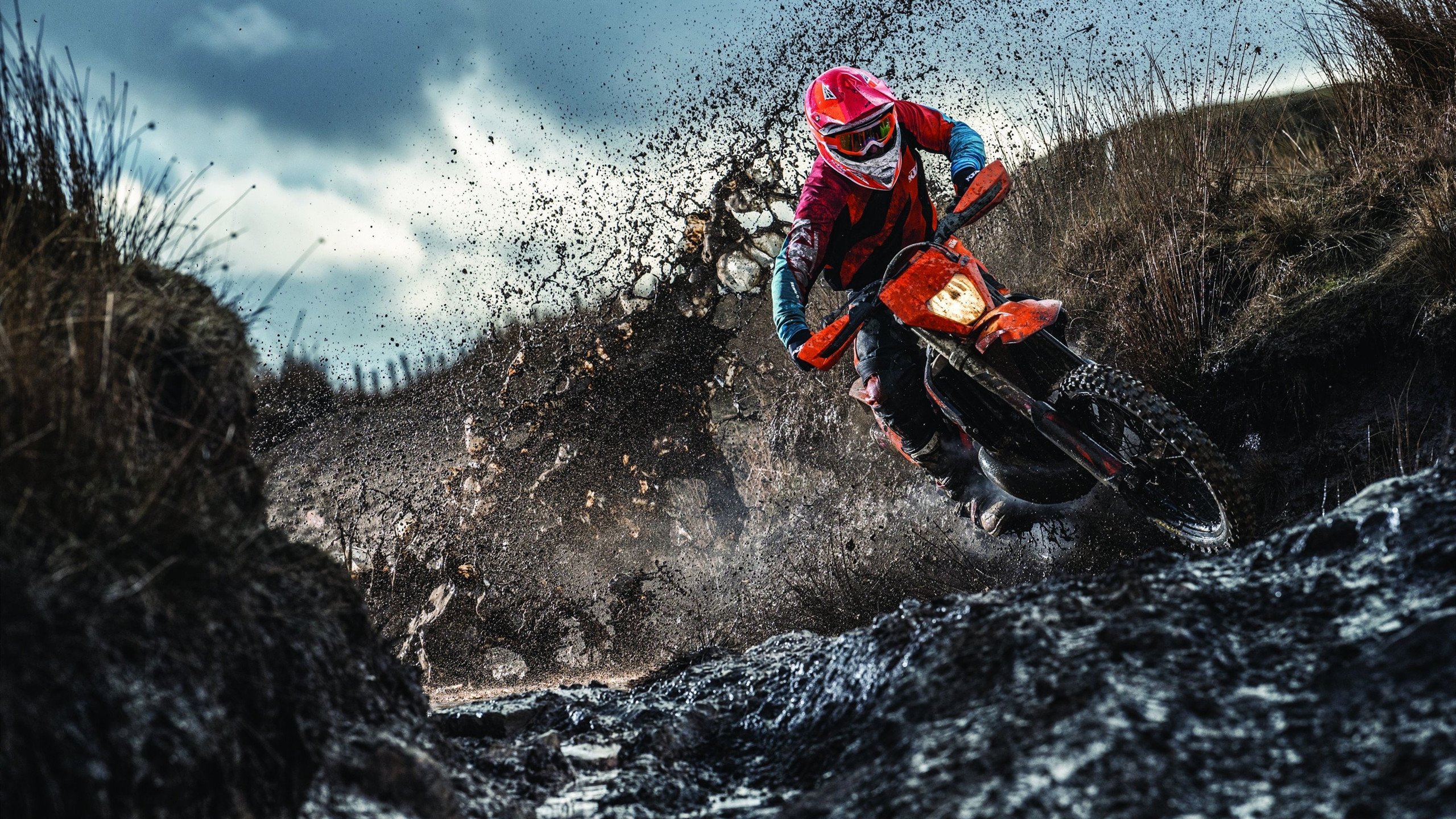 绿茵与硬木，跨越运动的关键战哲学