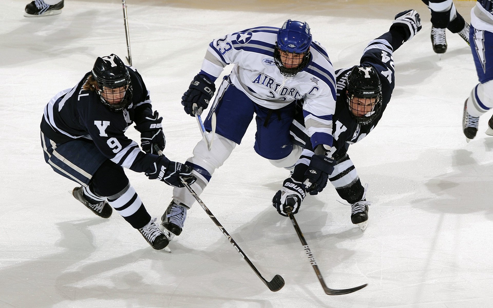 年度焦点之战之夜，格列兹曼统治全场